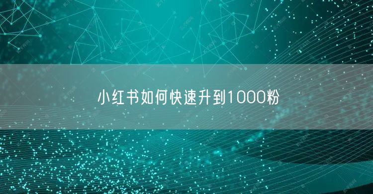 小红书如何快速升到1000粉